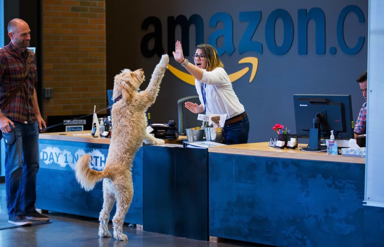 15 интересных фактов об Amazon, о которых мало кто знает