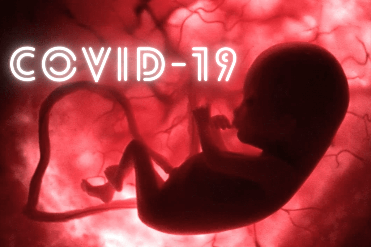 COVID-19 блокирует иммунный ответ плаценты у беременных женщин