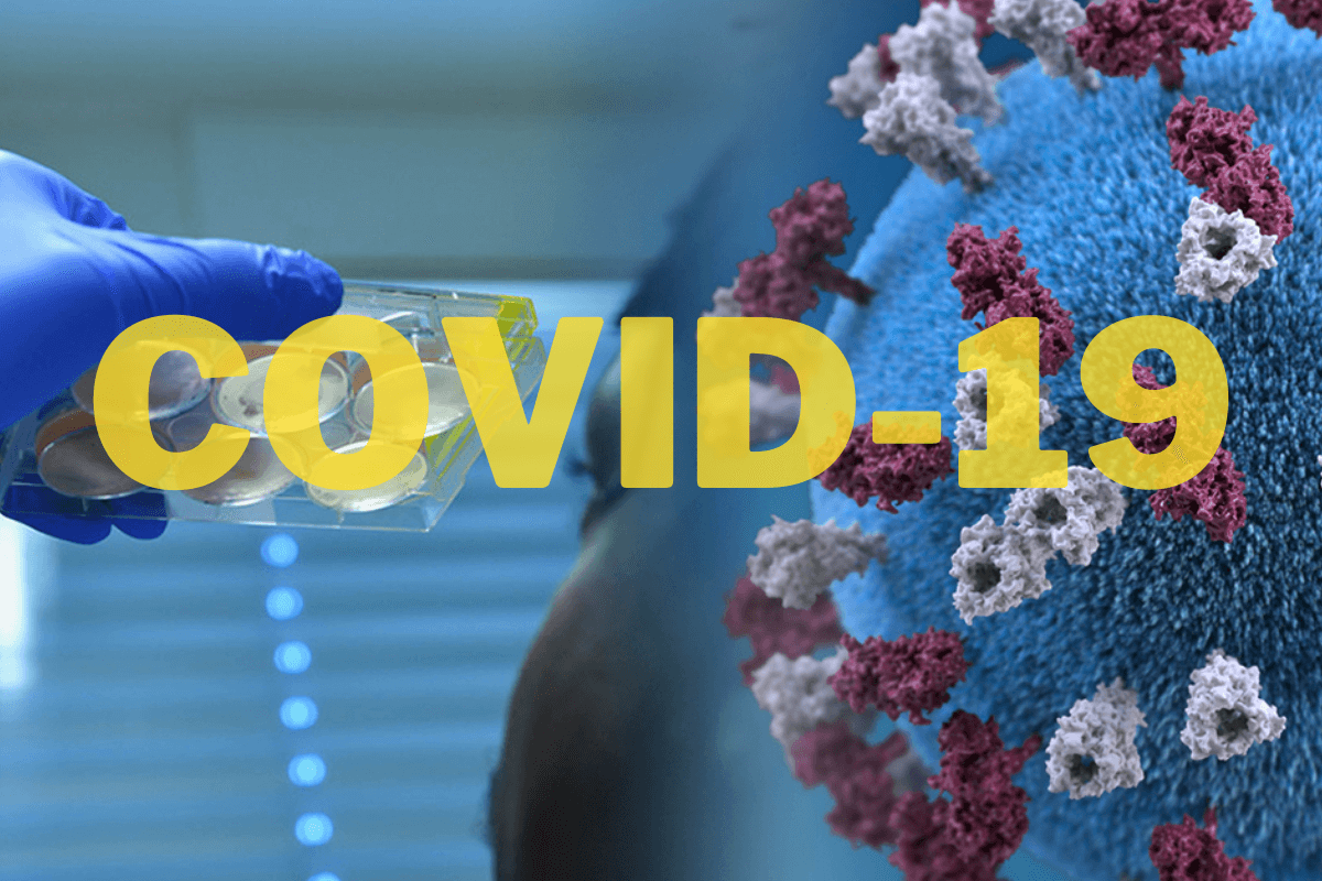 Нашли антитело, способное нейтрализовать все известные варианты COVID-19