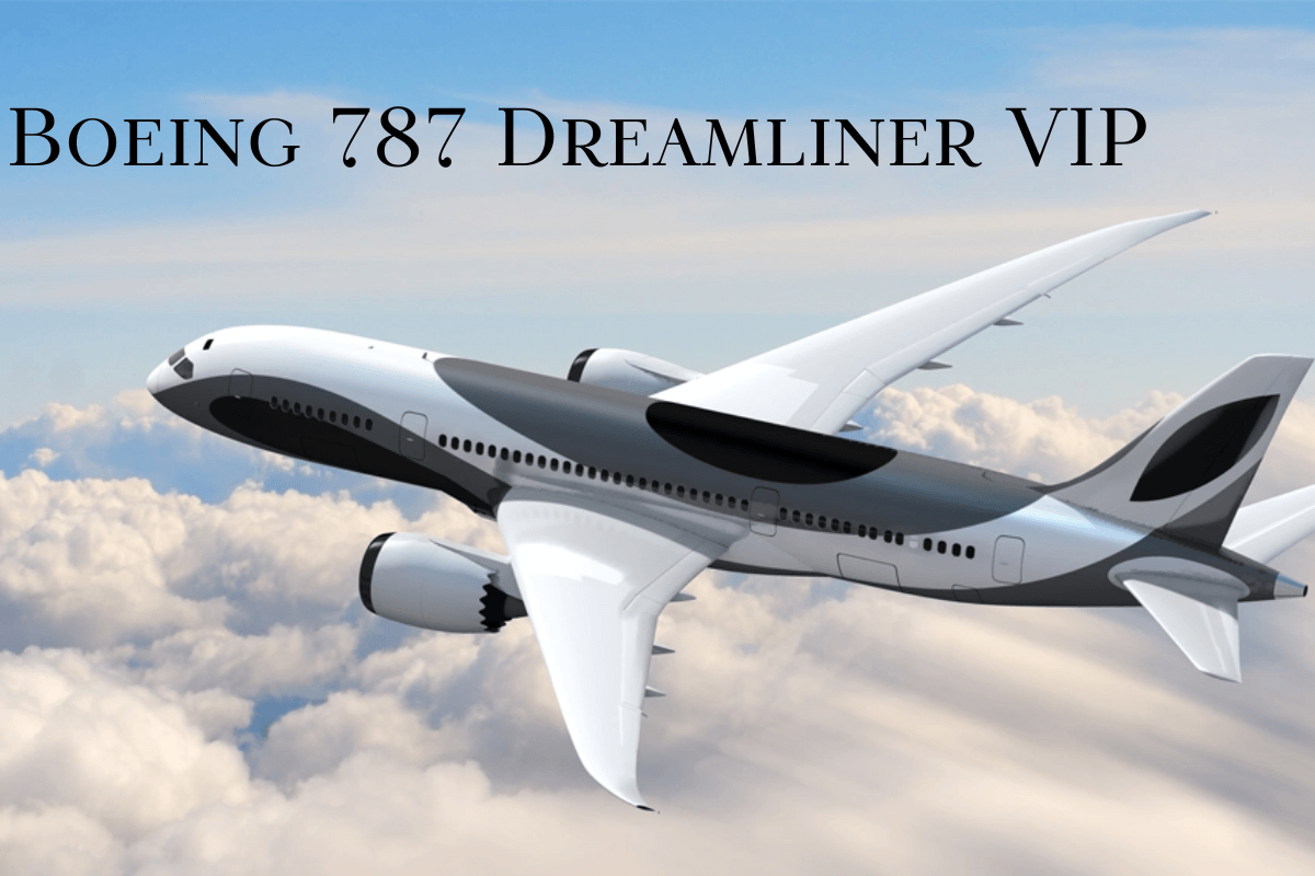 Список лучших частных самолетов 2022 года: Boeing 787 Dreamliner VIP
