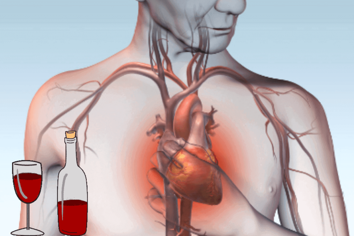 Умеренное употребление алкоголя снижает риск возникновения ишемической болезни сердца