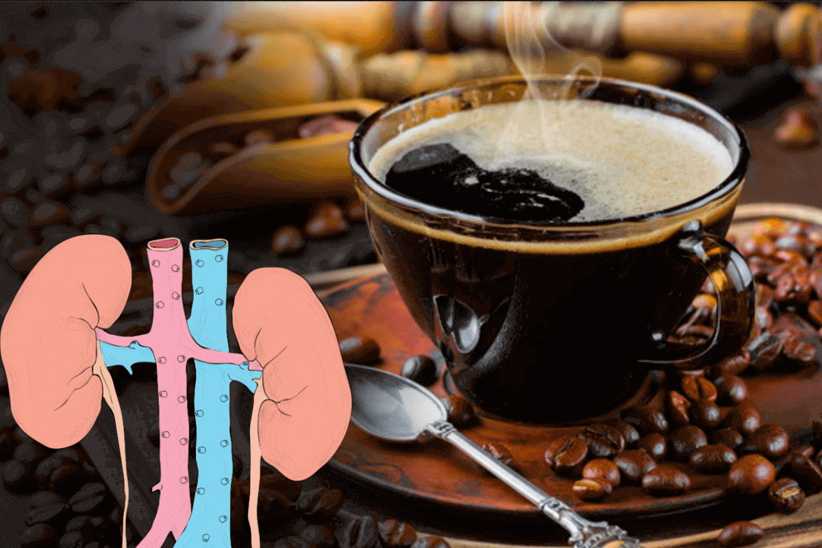 Регулярное употребление кофе благоприятно влияет на функцию почек
