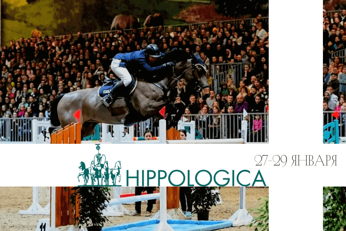 Международная конная выставка HIPPOLOGICA Berlin 2023, 27-29 января