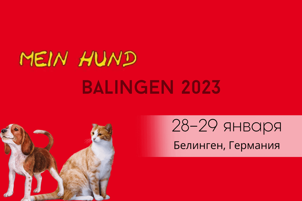 Международная выставка-шоу собак и товаров для них Mein Hund Balingen 2023, 28-29 января