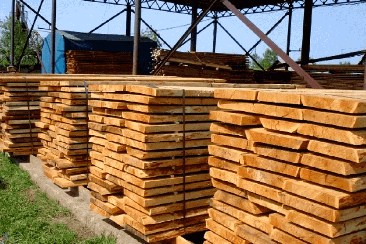 Крупнейшие страны-экспортеры древесной продукции