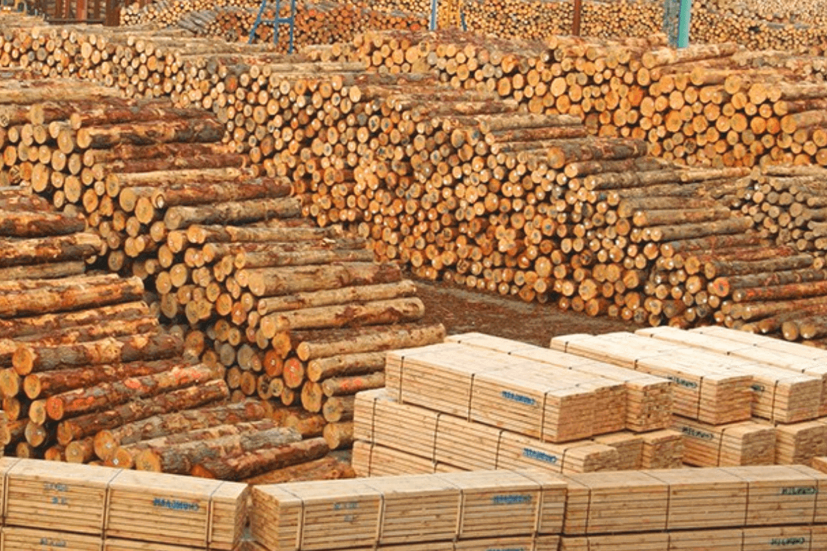 Крупнейшие страны-импортеры лесного сырья