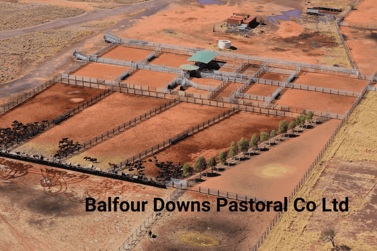 Топ-15 аграрных (сельскохозяйственных) компаний мира: Balfour Downs Pastoral Co Ltd - рейтинг лучших агрохолдингов