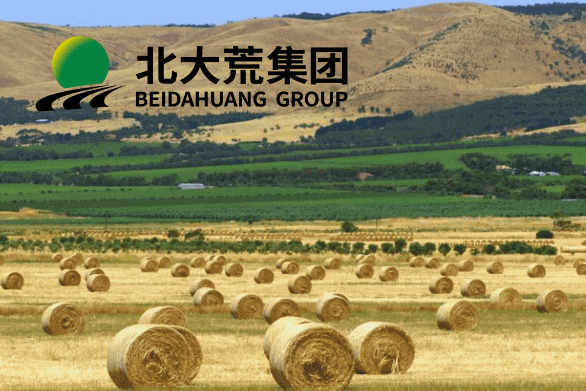 Топ-15 аграрных (сельскохозяйственных) компаний мира: Beidahuang Group