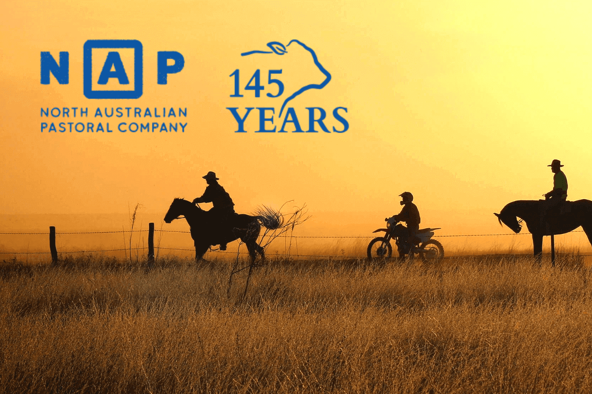 Топ-15 аграрных (сельскохозяйственных) компаний мира: The North Australian Pastoral (NAPCО)