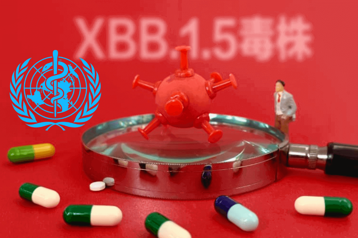Всемирная организация здравоохранения заявляет, что Omicron XBB.1.5 не имеет мутаций, которые ухудшают состояние людей