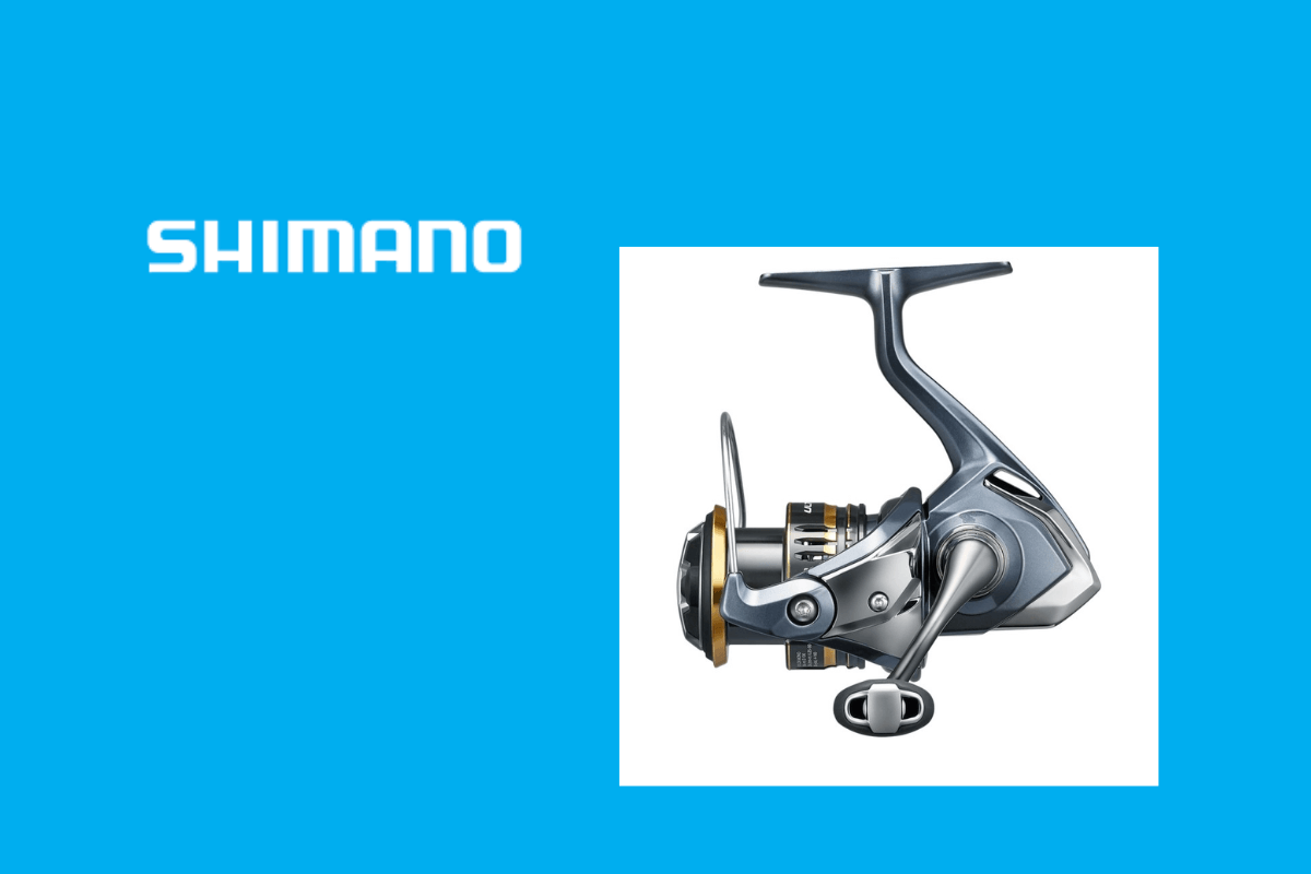 Лучшие рыболовные бренды: Shimano