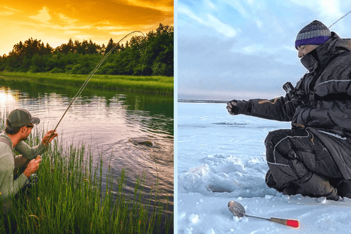 Особенности зимней и летней рыбалки