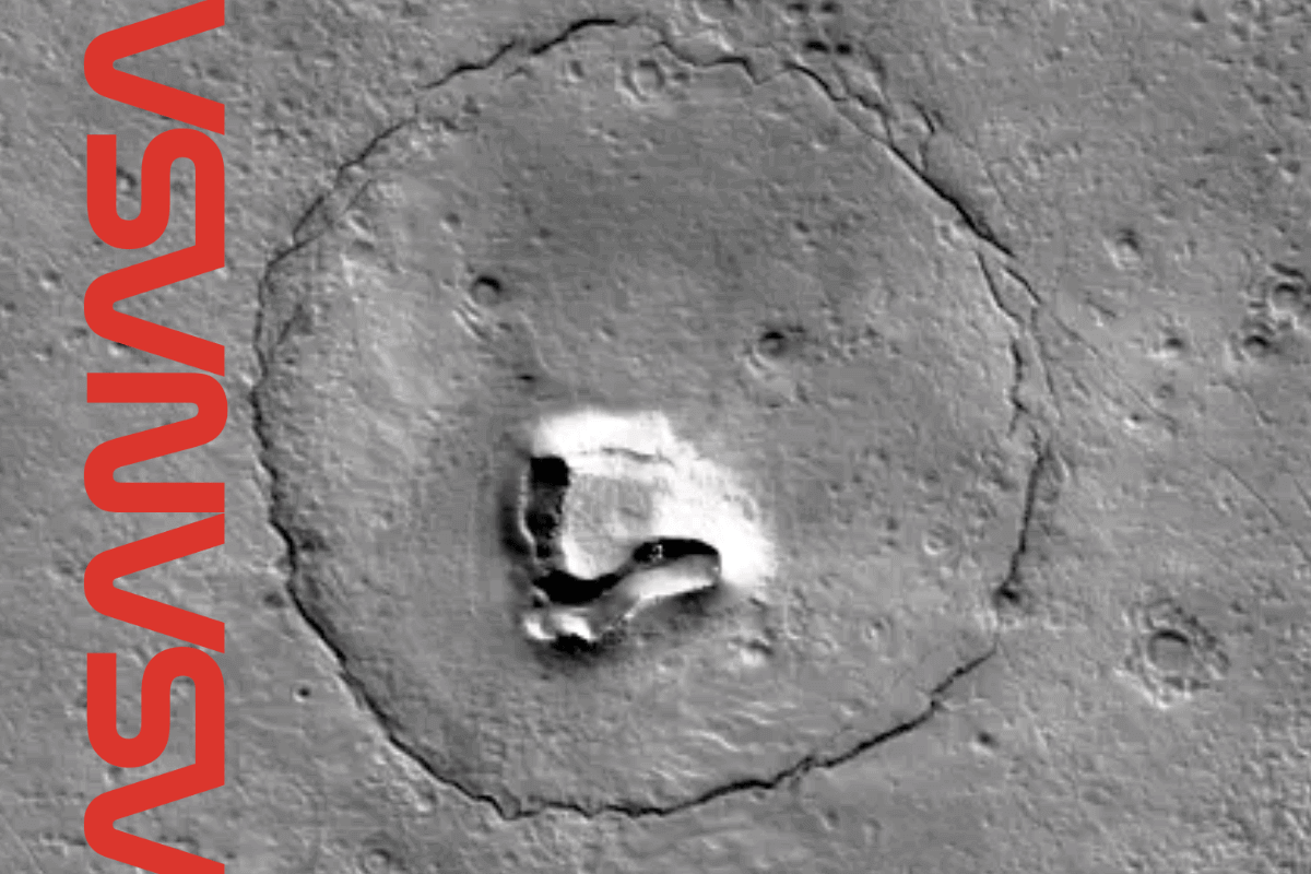 NASA поделилась снимками обнаруженных марсианских камней, похожих на плюшевых мишек