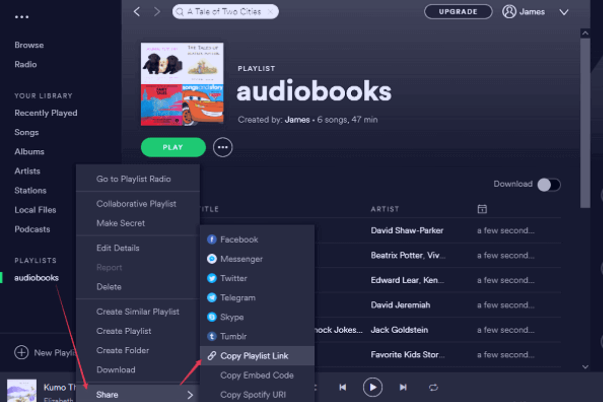 Аудиокниги в Spotify могут быть бесплатными