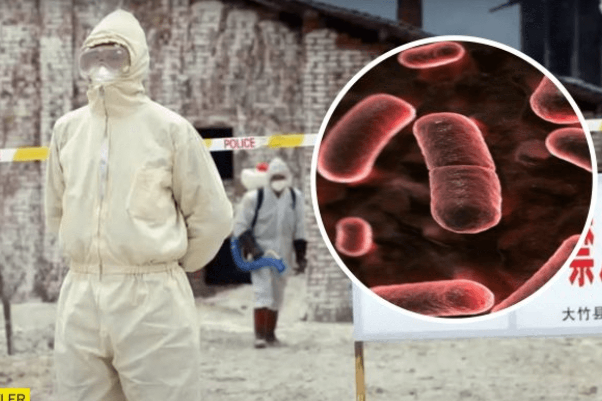 Бубонная чума обнаружена в Нинся-Хуэйском