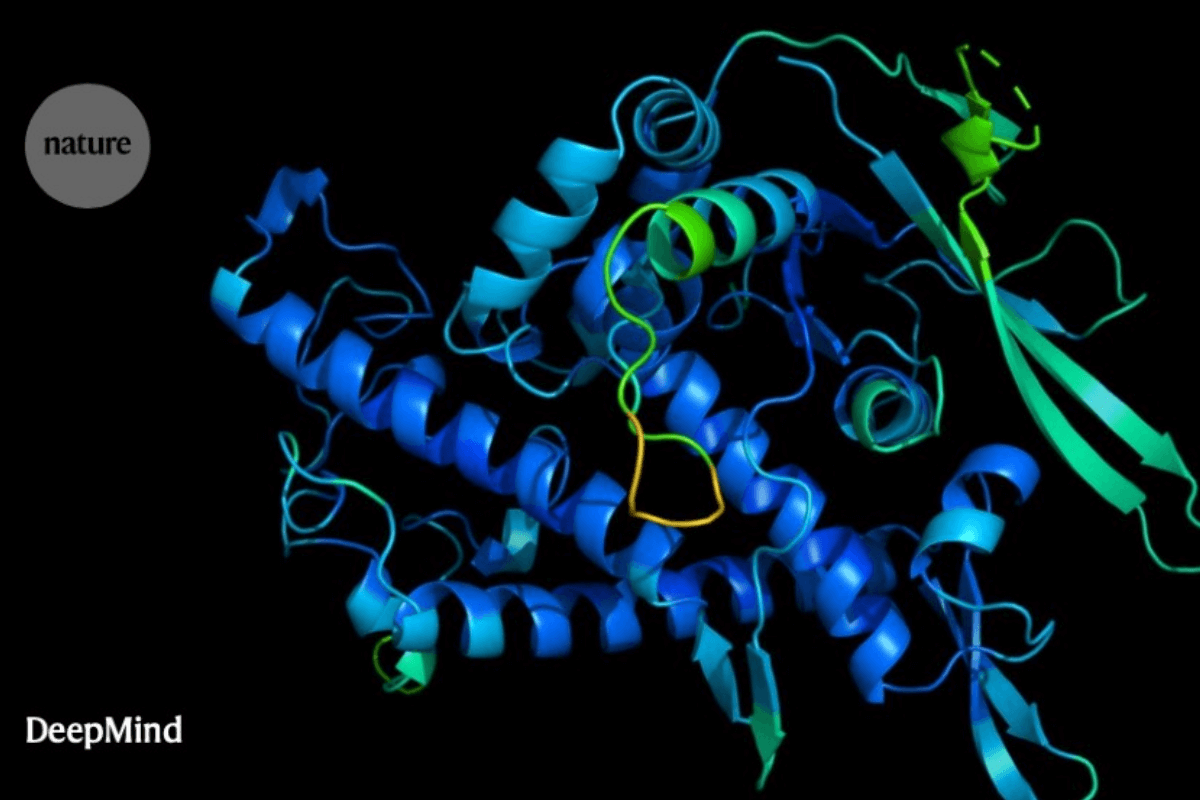 DeepMind обнаружил структуру почти каждого белка, известного науке