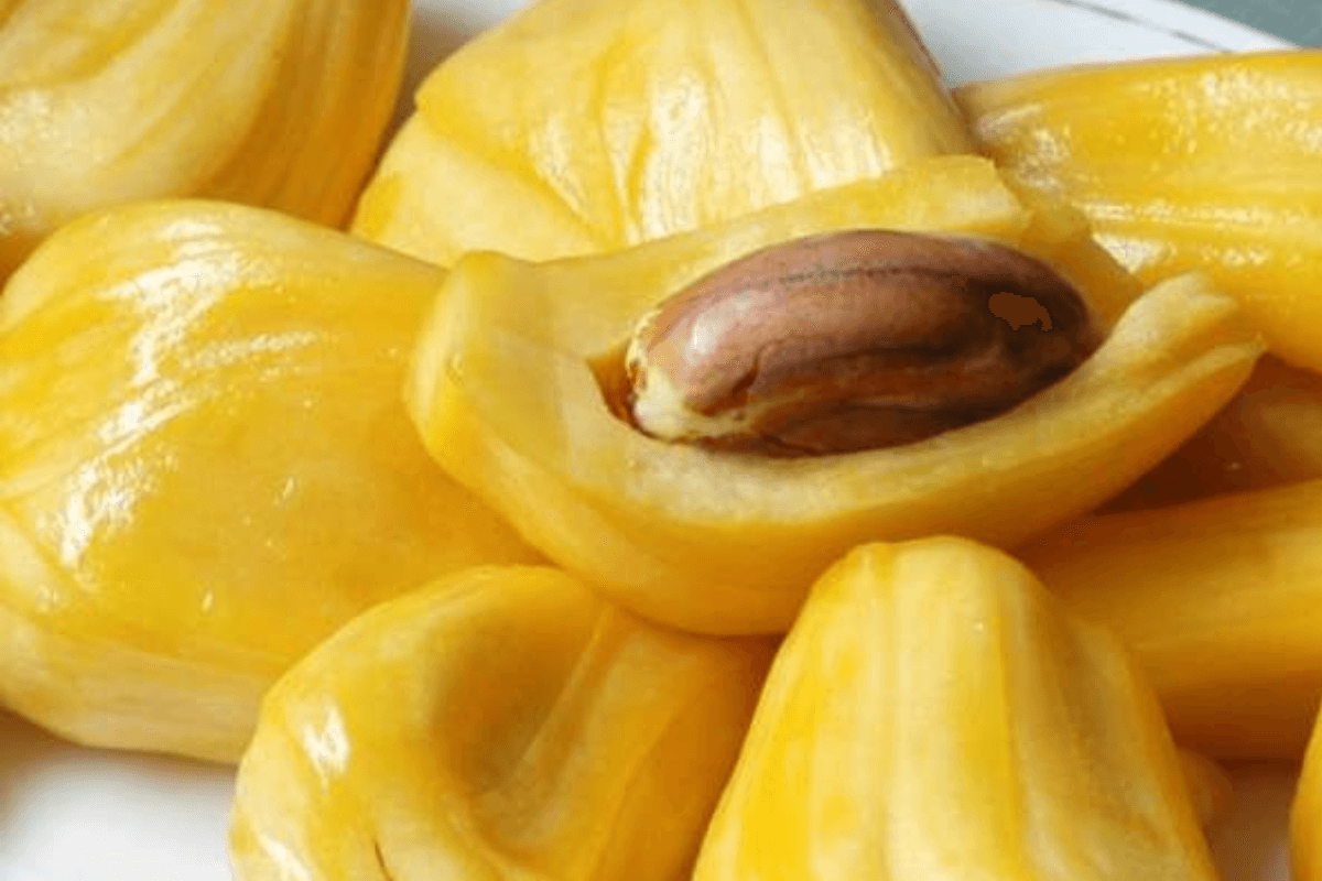 Диетологи одобрили семь суперпродуктов, необходимых к употреблению в сезон дождей: семена джекфрута