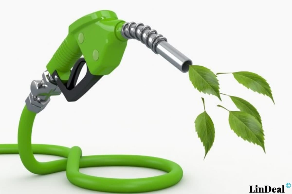 эко-бизнес: биотопливо из мусора