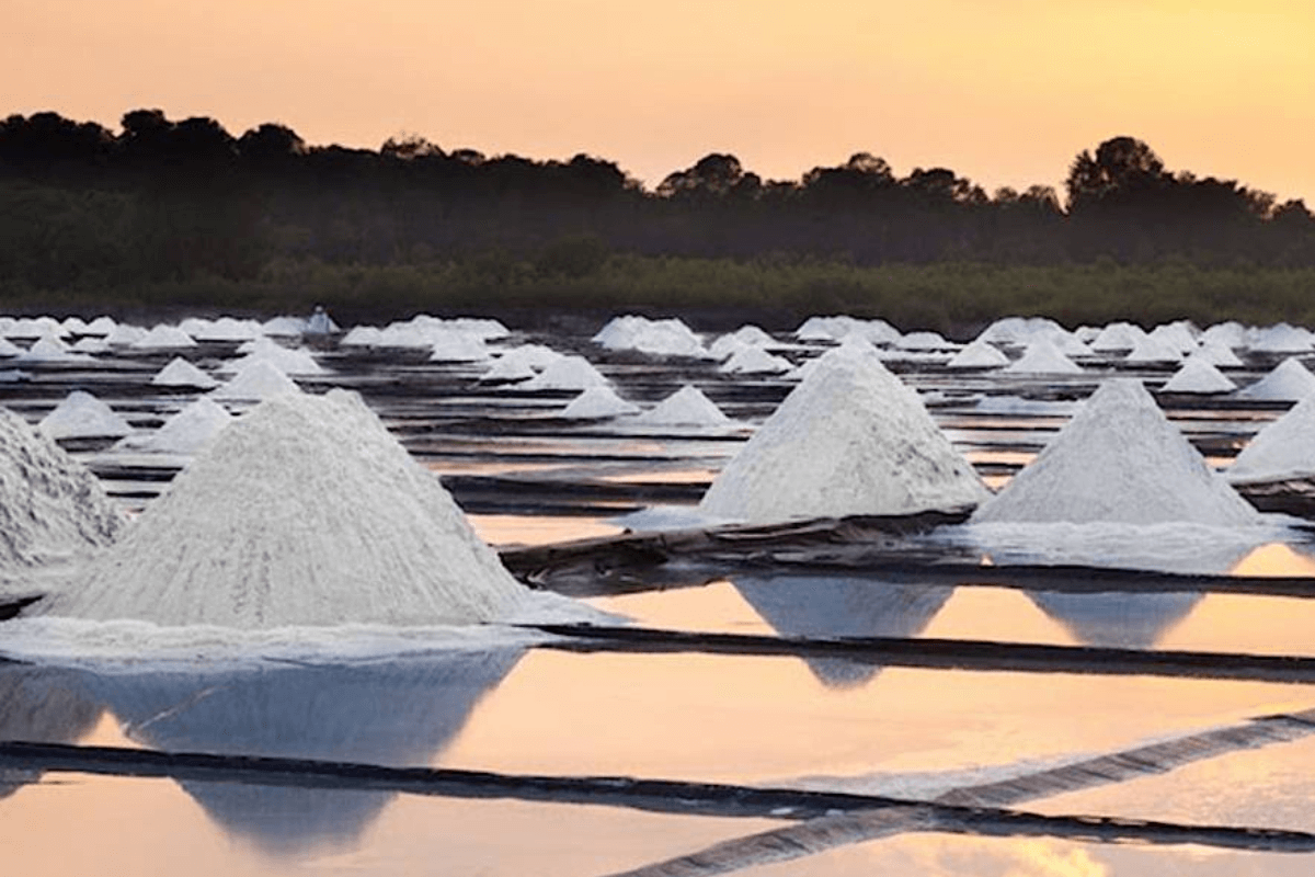 Как развивается мировой рынок соли?