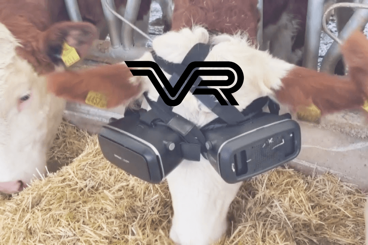 От роботов до VR-очков для коров: IT-тренды сельскохозяйственной отрасли