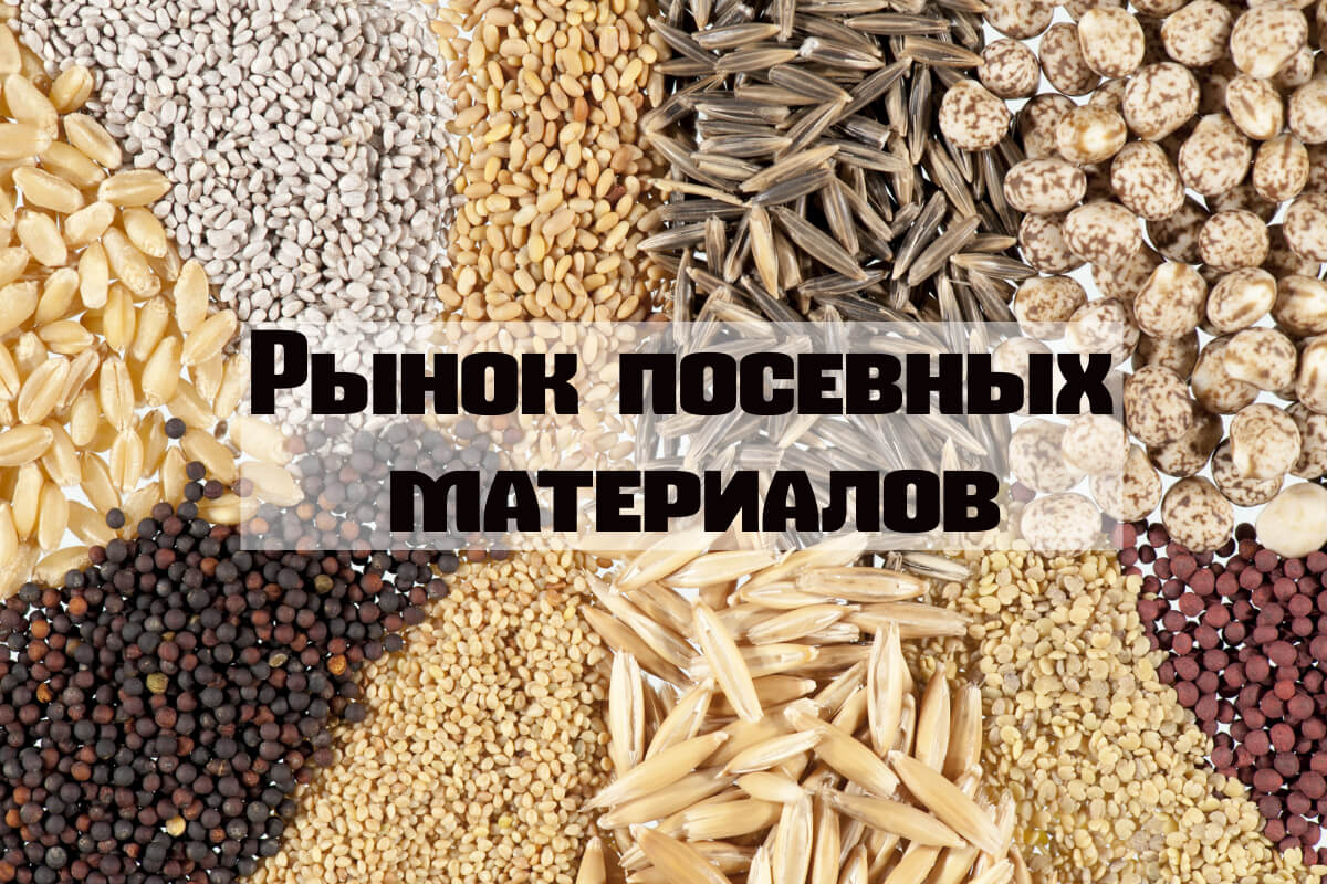 Главные мировые игроки рынка посевных материалов, экспорт и импорт семян