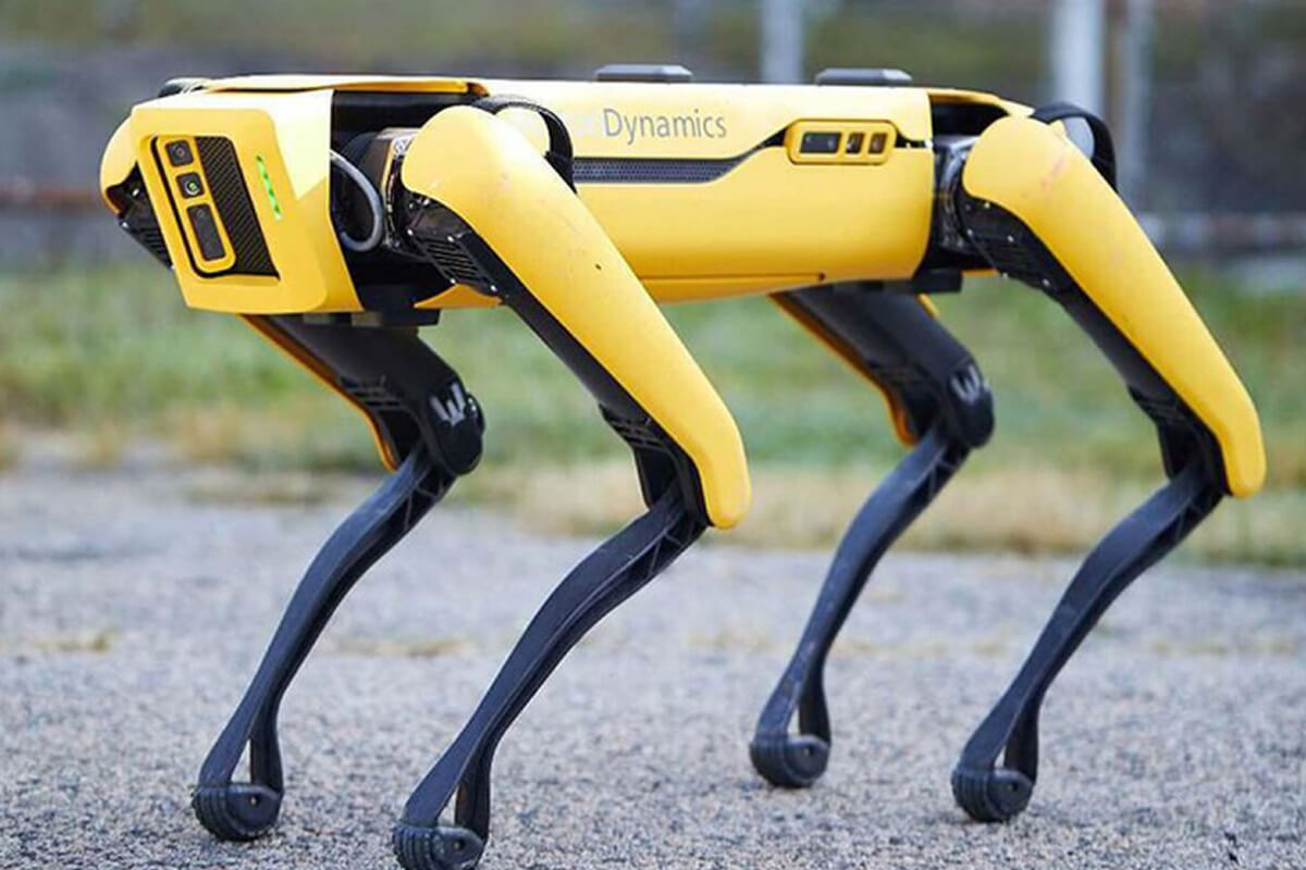 Инженеры сконструировали робота-собаку, который научился ходить за один час