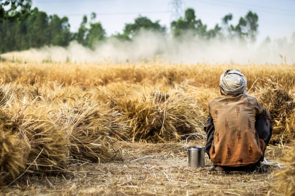 Чем угрожает мировой голод?