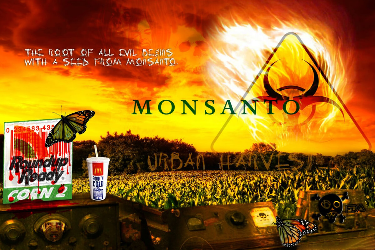 Начало спорных практик в компании Monsanto