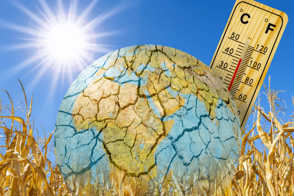 Ученые Массачусетского технологического института считают, что они обнаружили, как полностью обратить вспять изменение климата