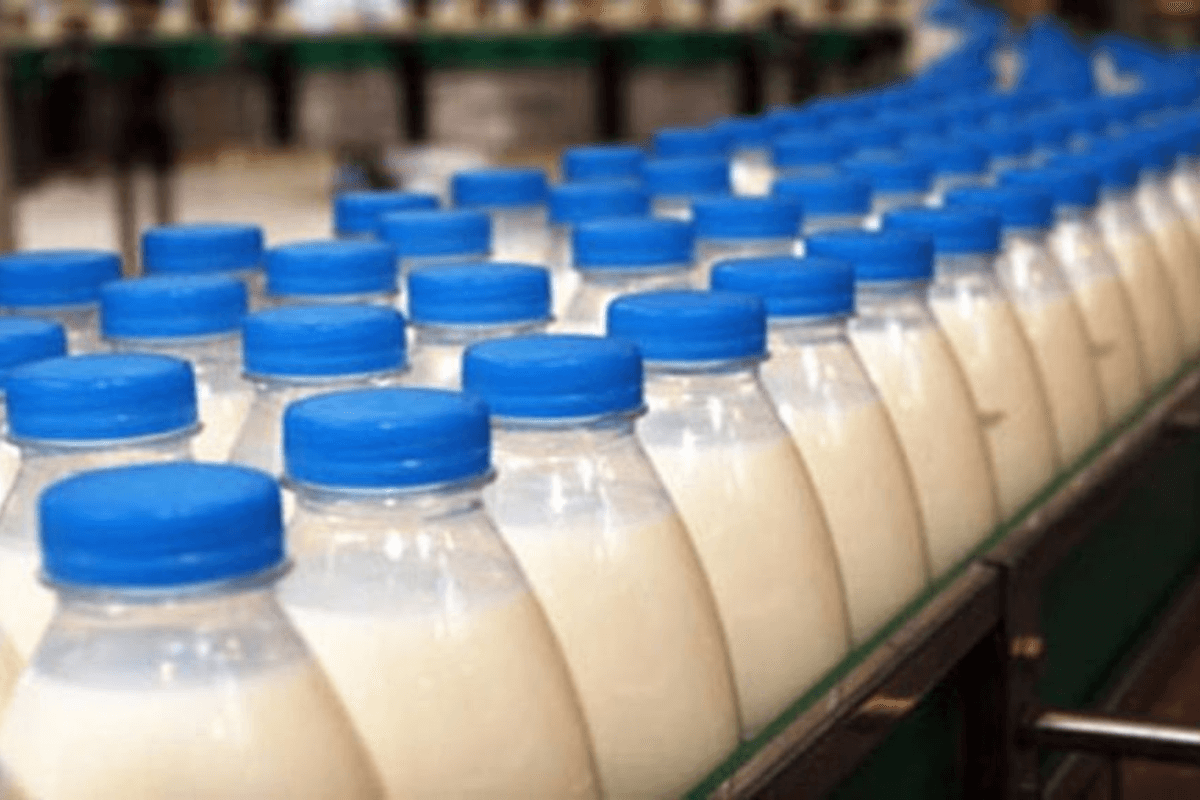 Лидеры с производства молока в мире по странам