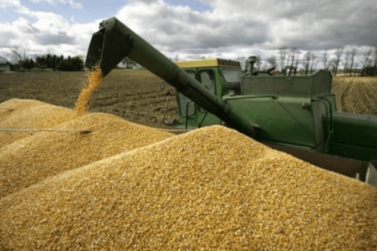 Лидеры с производства пшеницы в мире по странам
