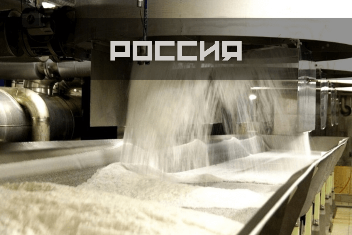 Как производят сахар в России