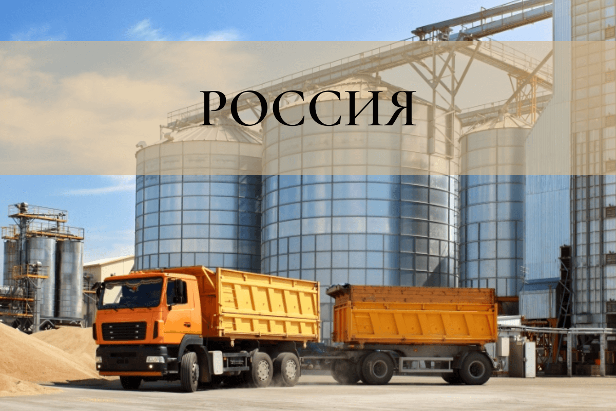 Россия – экспортер зерна