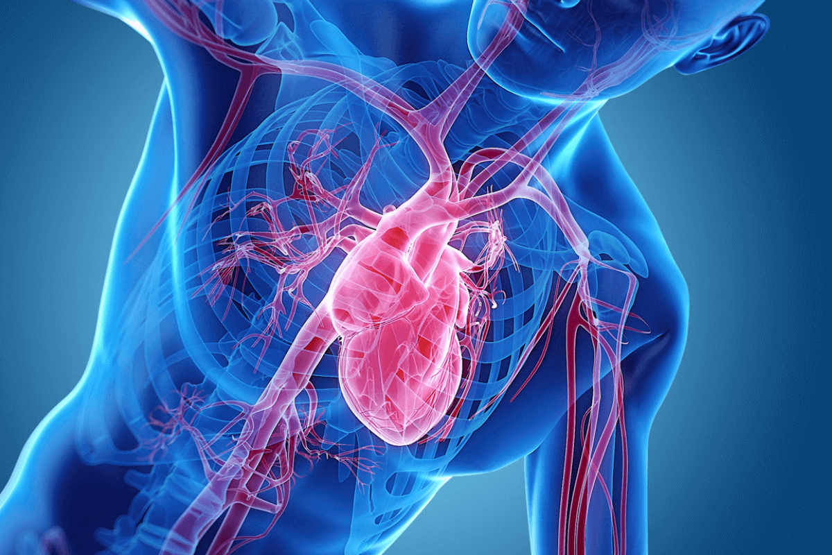 Исследование показало, что сердечную недостаточность вызывают мутации в определенных генах