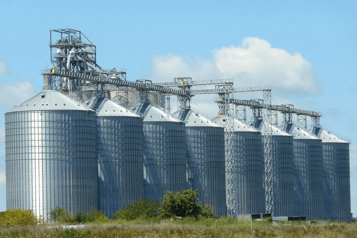Правила хранения зерновых культур