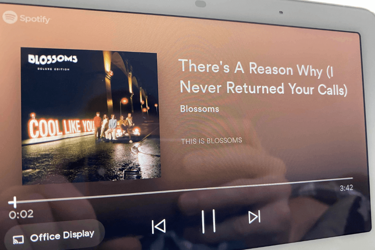 Spotify в режиме реального времени незаметно выкладывает тексты песен на Rest Hub