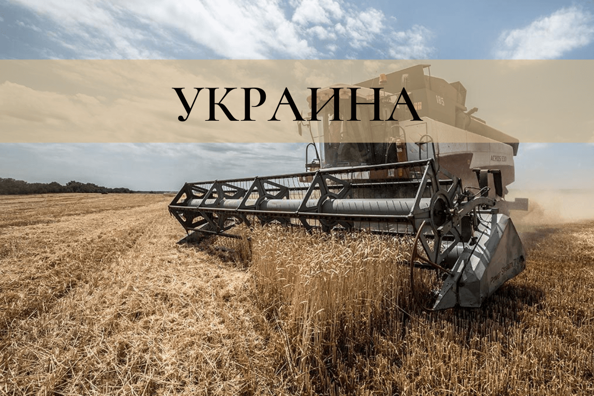 Украина – экспортер зерна