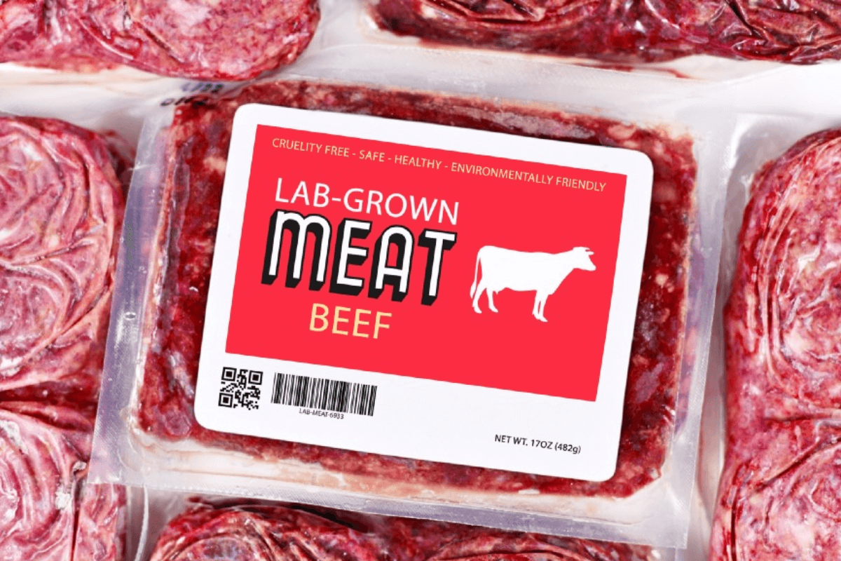 Употребление выращенного в лаборатории мяса полезно для здоровья и сохранения окружающей среды