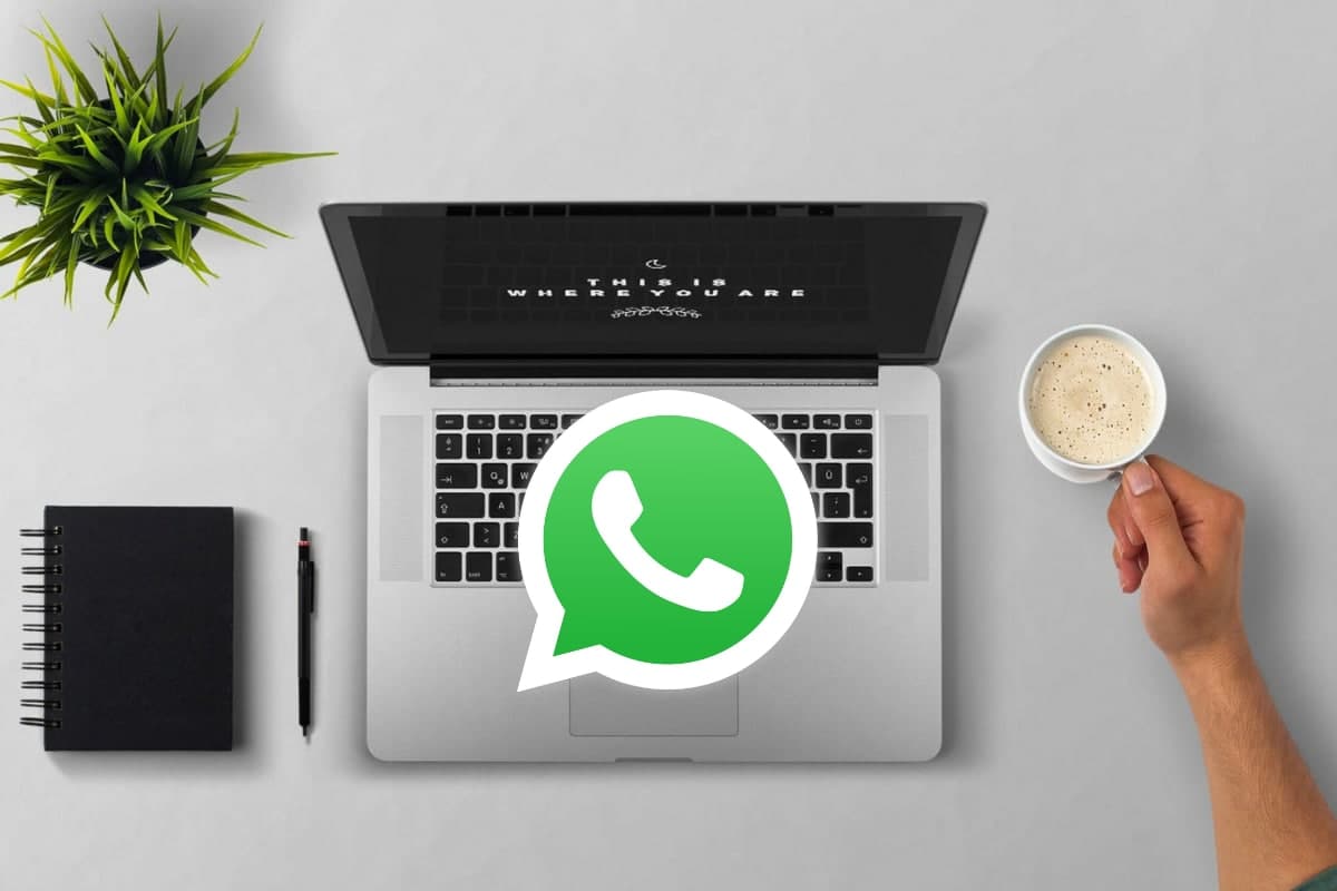 В WhatsApp появилась возможность пользоваться версией ПК без привязки к смартфону