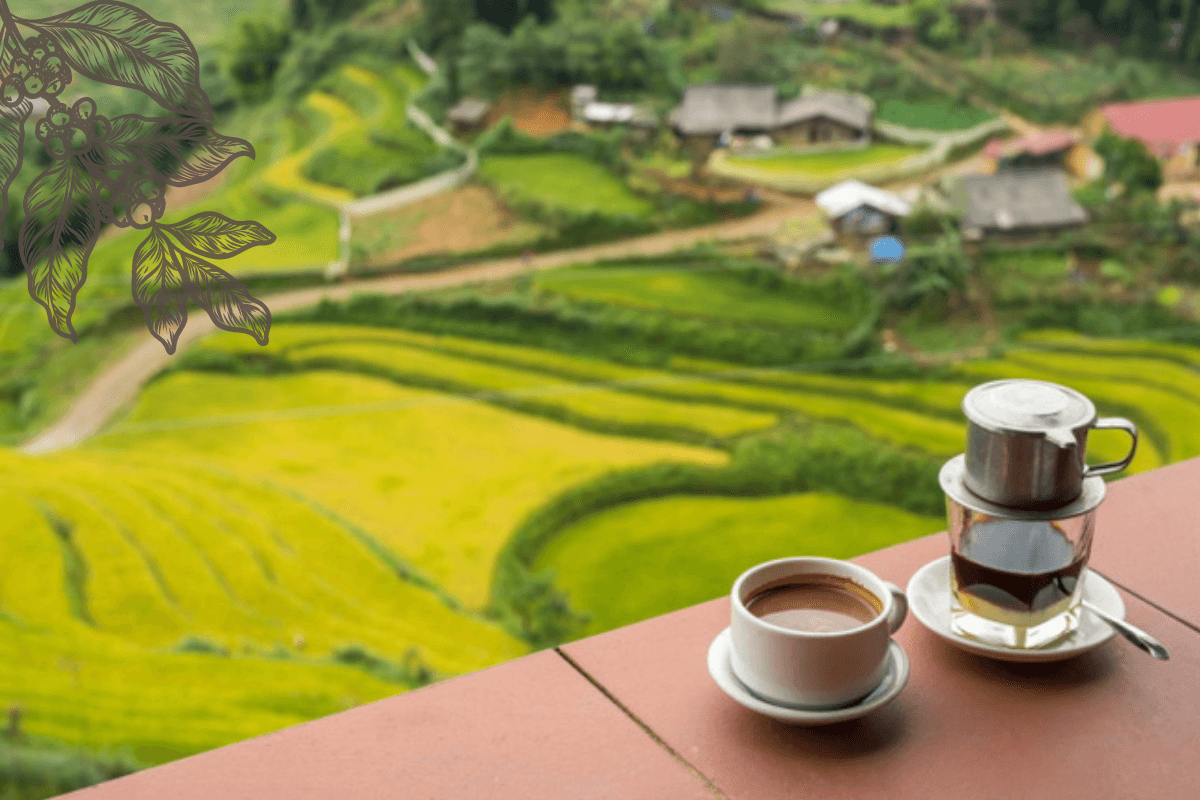 Вьетнам крупнейшая страна производитель и экспортер кофе