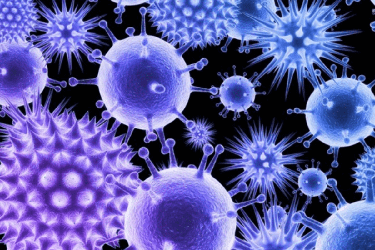 Вирусы, передающиеся от животного к человеку, будут распространяться все чаще