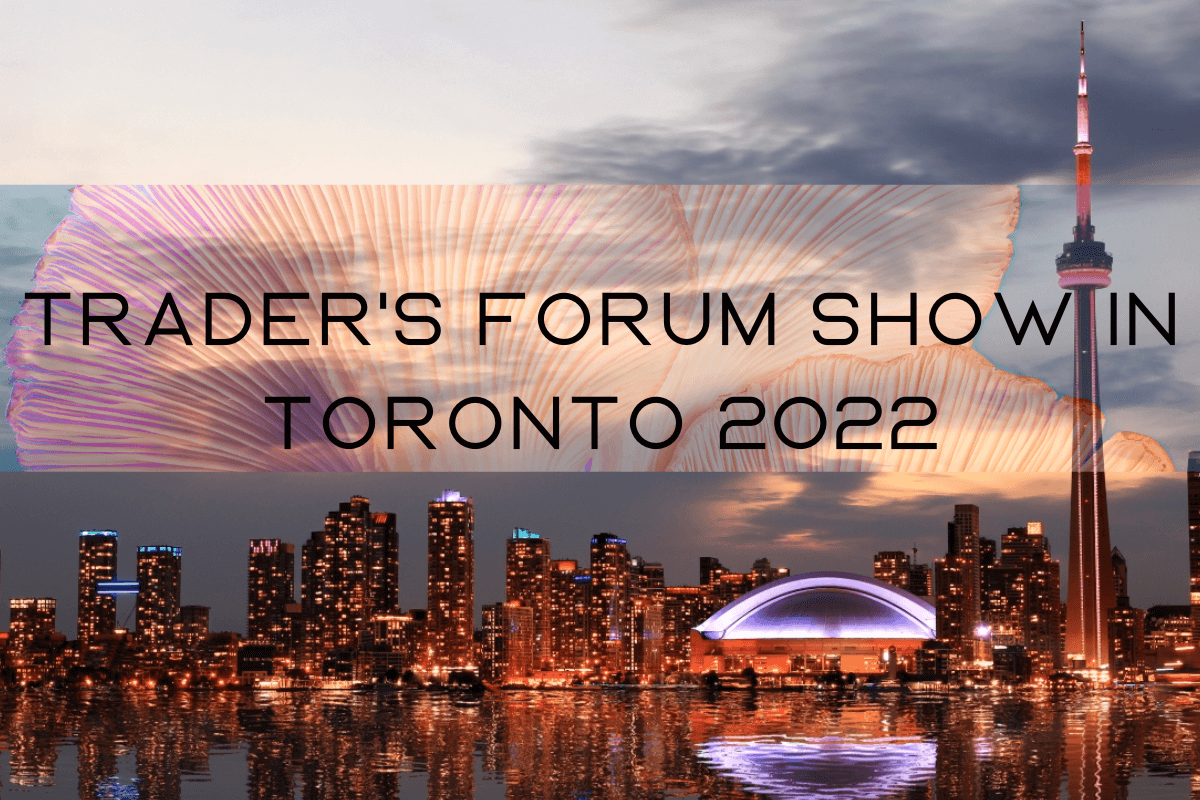 Выставка Trader's Forum Show in Toronto 2022, 7-9 августа