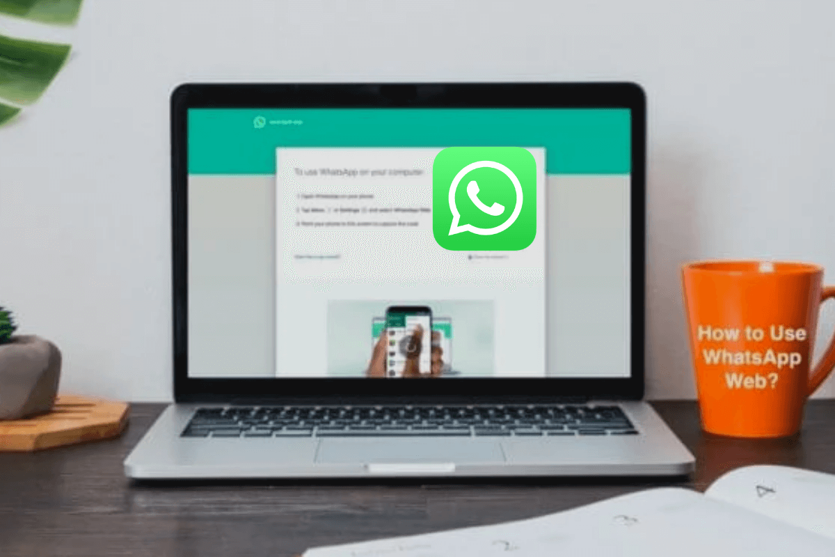 Push-уведомления в ПК версии мессенджера WhatsApp 
