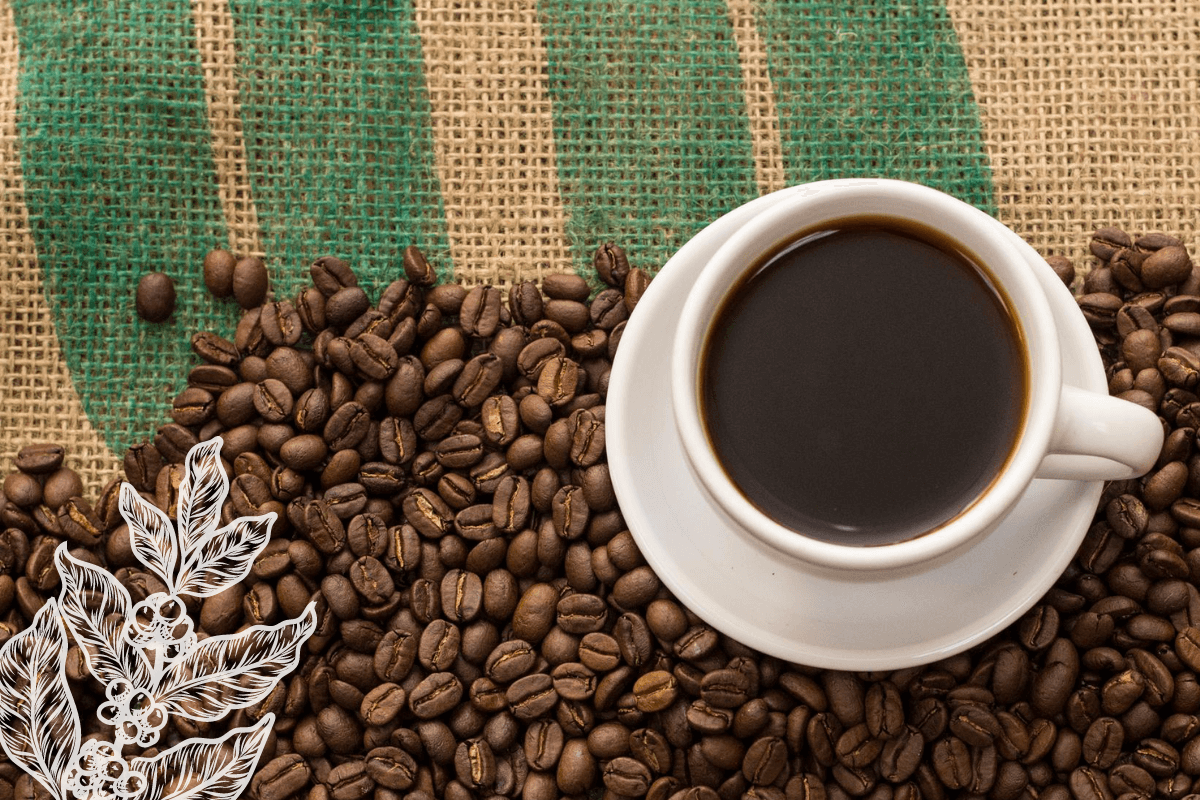 Замбия крупнейшая страна производитель и экспортер кофе