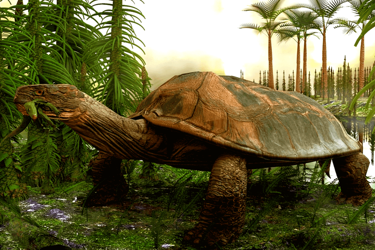 Топ-15 потрясающих вымерших животных: Carbonemys — черепаха, которая ела крокодилов