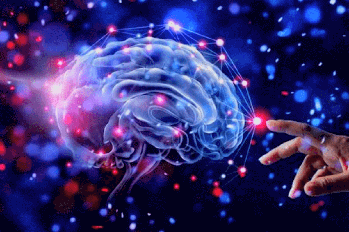 Новые методики улучшения работы мозга, открытые в 2023 году