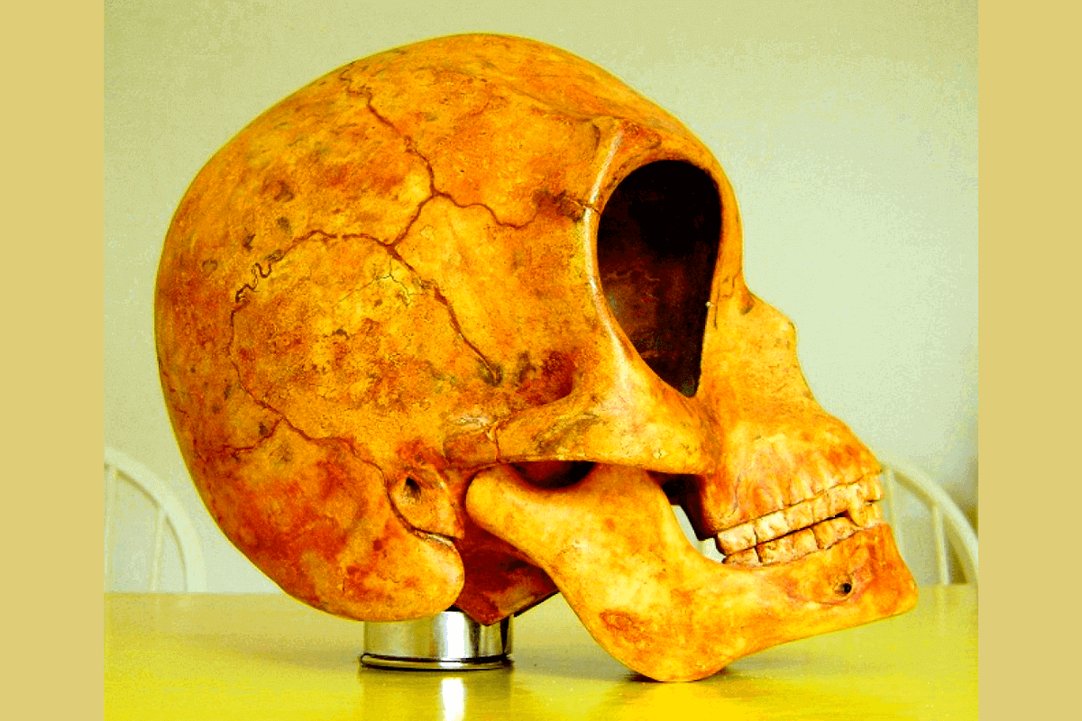 Сверхъестественное: Силендский череп - топ-10 самых ярких таинственных и необъяснимых явлений