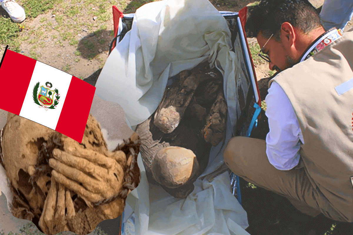 Перуанская полиция обнаружила древнюю мумию в сумке-холодильнике