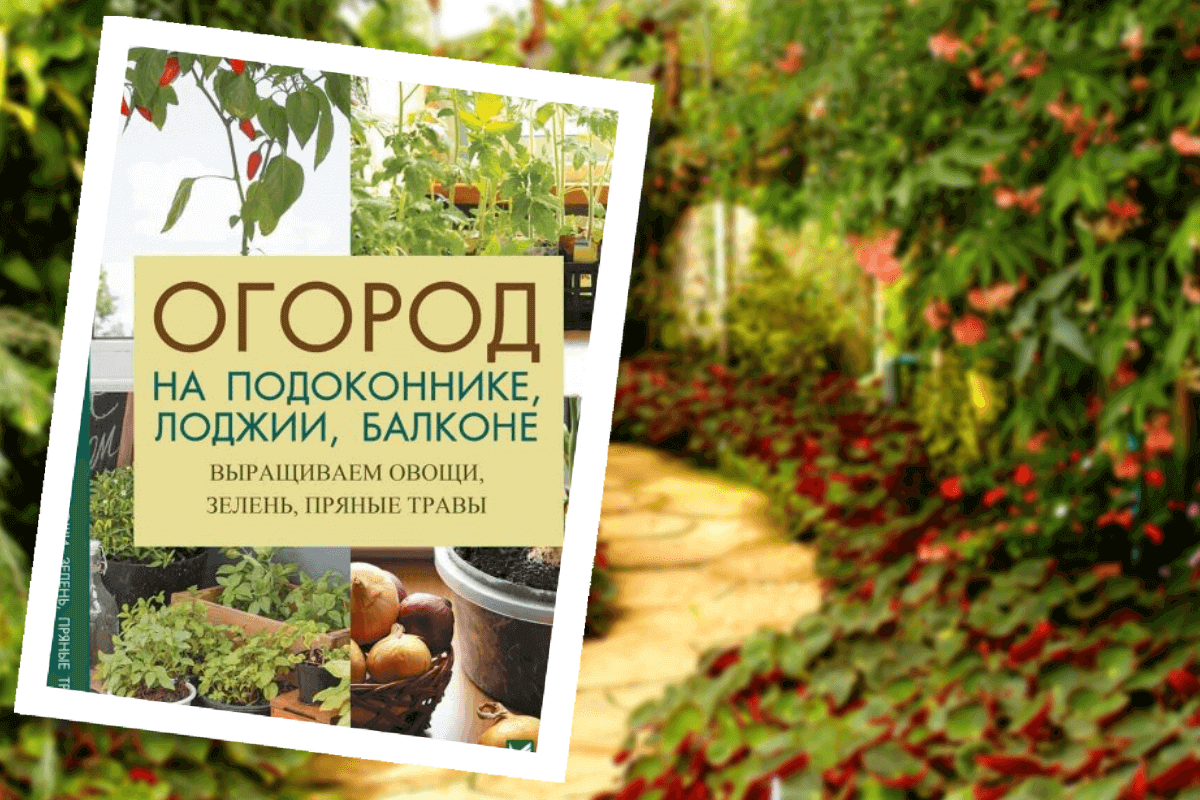 ТОП-15 лучших книги для садоводов и огородников: «Огород на подоконнике, лоджии, балконе», Л. Лапшин