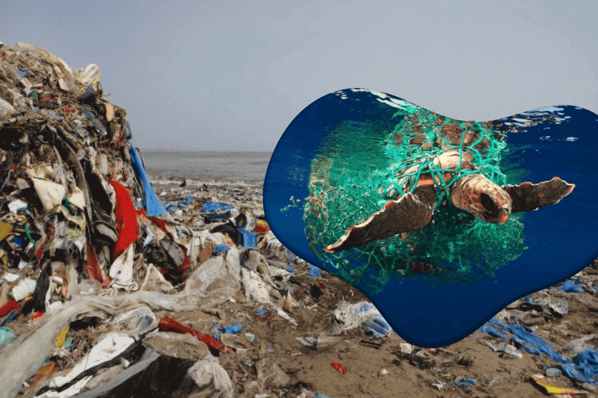 К 2040 году количество пластика, попадающего в океаны, увеличится в 3 раза